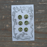 While Silver Beast Studio - Mini Buttons 13mm Set of 6