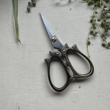 Squirrel Scissors