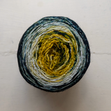 Metamorphosis Sock
