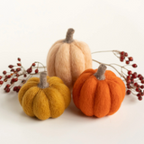 Pumpkin Trio Mini Kit