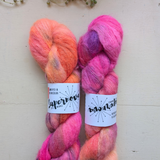 Schedar Castor Lace