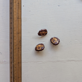 Lion Plastic Buttons
