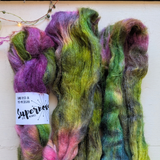Schedar Castor Lace