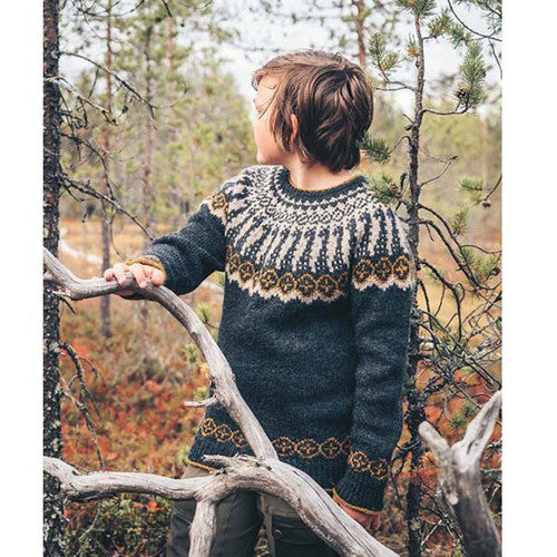 Icelandic Knits: 18 Timeless