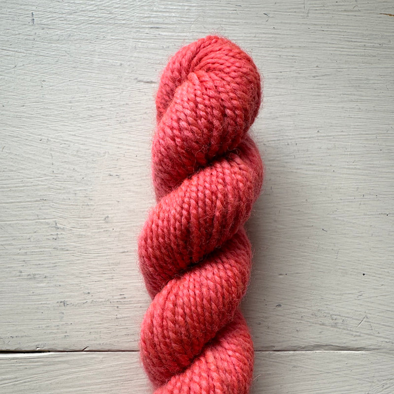 Baby Cat 80/20 Minis