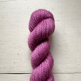 Baby Cat 80/20 Minis