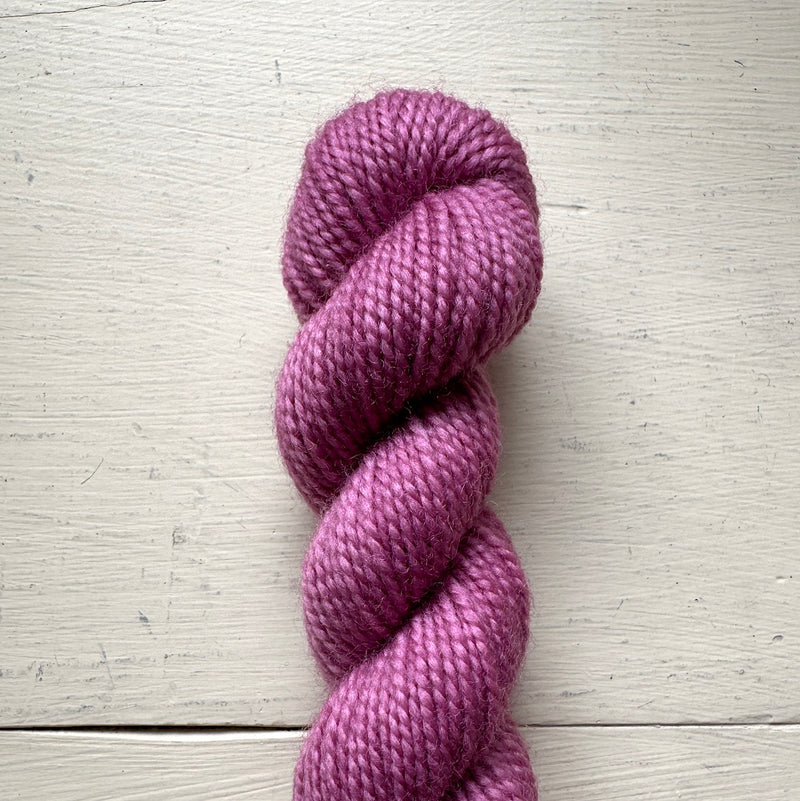 Baby Cat 80/20 Minis