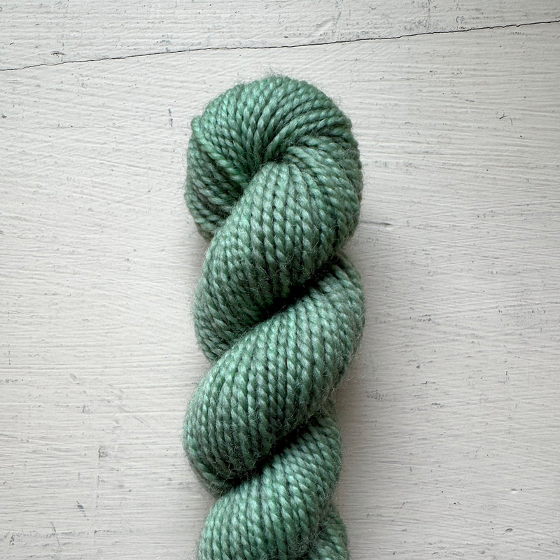 Baby Cat 80/20 Minis