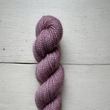 Baby Cat 80/20 Minis