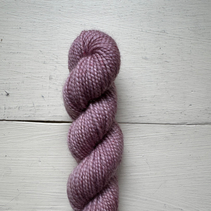 Baby Cat 80/20 Minis