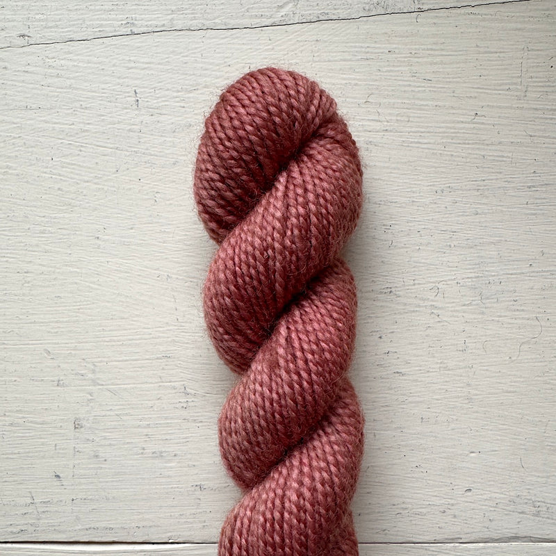 Baby Cat 80/20 Minis