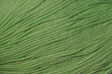 Bamboo Pop