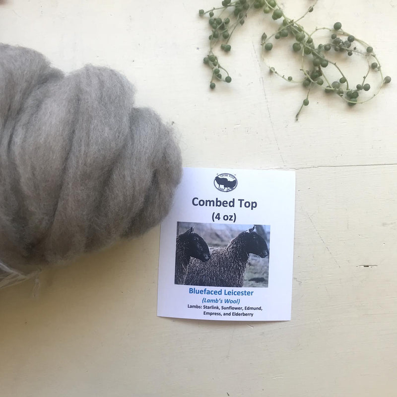 Combed Top (4oz) BFL Lamb