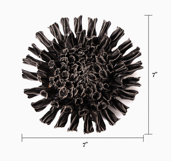 Coral Fractal Black