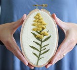 Goldenrod Needle Felting Kit