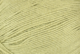 Bamboo Pop