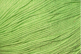 Bamboo Pop