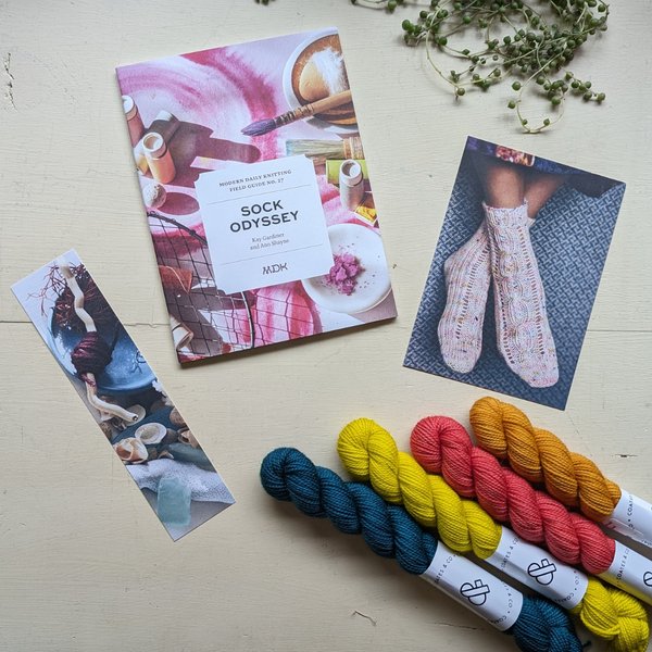 Field Guide 27: Sock Odyssey