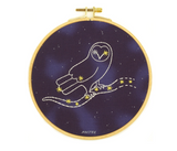 Constellation Kits