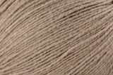 Bamboo Pop