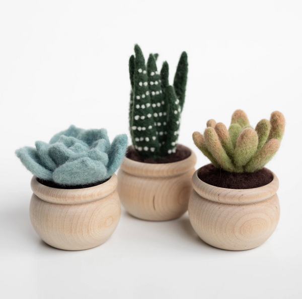 Succulents Needle Felting Kit