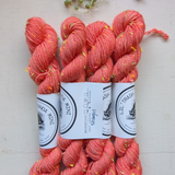 Lil' Trash Panda Mini Skein