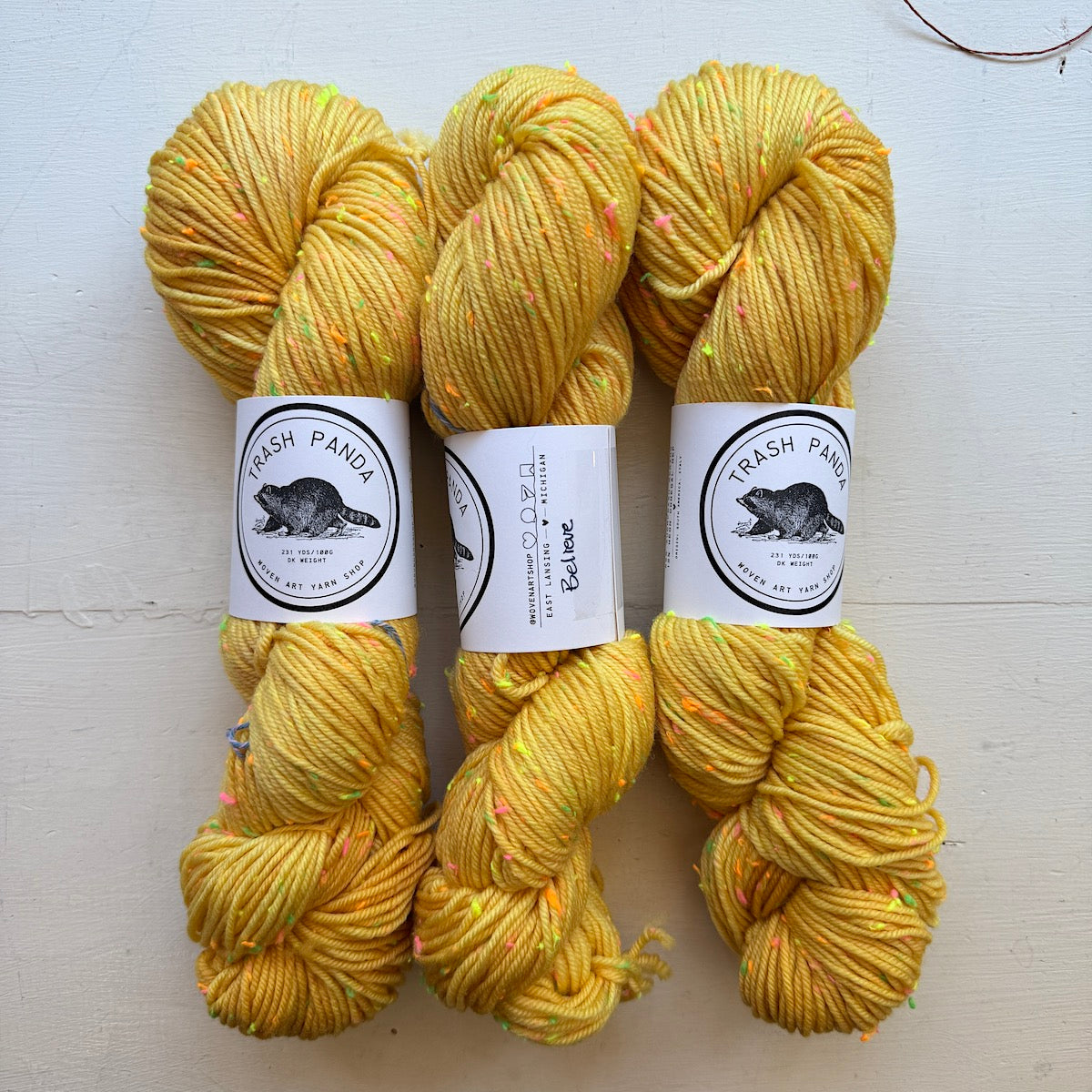 Trash Panda – Woven Art Yarn Shop