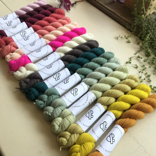 Prairie Sock Mini